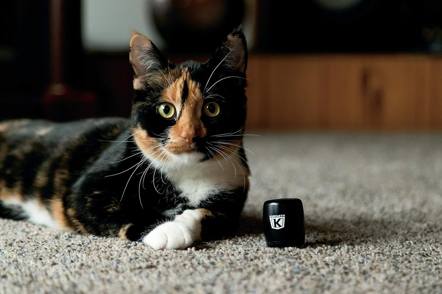 2204 Sidekix Mini Speaker: Wireless Audio Speakers with Bluetooth, Remote Shutter, Satin Black