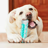 Dog Toy Teething Stick Chewable Teeth Cleaning Bones Dog Toothbrush TPR Safe Puppy Dental Care Cleaning Toys Supplies