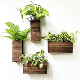 Wood Planter Box for Plants (6 Pack, 4X4 Inch) Small Square Wooden Wall Planters for Indoor Plant, Hanging Window Flower Boxes Herb Planter Table Centerpiece Modern Home Garden Office Decor