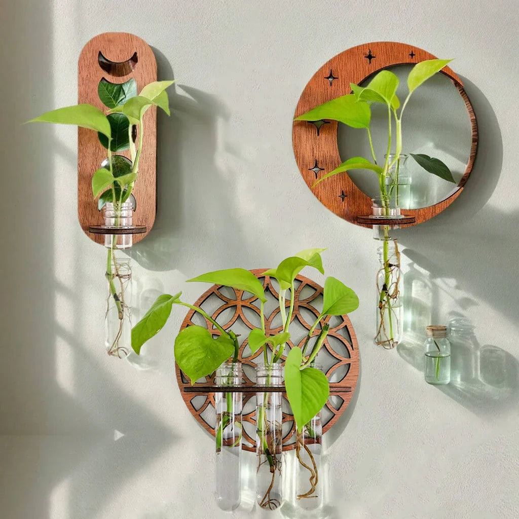 1PC Moon Plant Propagation Station, Moon Phase Wall Hanging Terrarium Planter with Glass Tube, Wall Plant Holder for Propagate Hydroponics Air Plants, Wall Plants, Dried Flower Home Decor