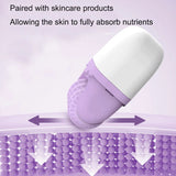 Ice Face Roller Set with Travel Case
