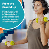 Garden of Life Organic Vegan Protein Powder, Plant Based & Bcaas, Organic Protein Powder with Probiotics & Enzymes, Non-Gmo, Gluten-Free Lactose Free 1.2 LB