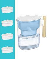 PT-04C Water Filter Pitcher, 10-Cup, NSF Certified, Clear