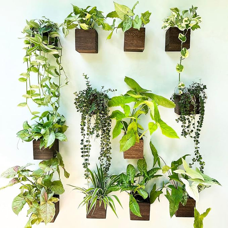 Wood Planter Box for Plants (6 Pack, 4X4 Inch) Small Square Wooden Wall Planters for Indoor Plant, Hanging Window Flower Boxes Herb Planter Table Centerpiece Modern Home Garden Office Decor