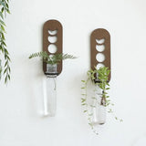 1PC Moon Plant Propagation Station, Moon Phase Wall Hanging Terrarium Planter with Glass Tube, Wall Plant Holder for Propagate Hydroponics Air Plants, Wall Plants, Dried Flower Home Decor