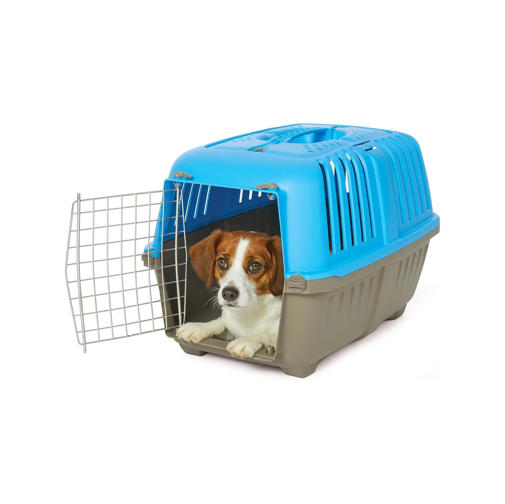 Homes for Pets Spree Travel Carrier – Hard-Sided Dog & Cat Carrier, Small Pet Travel Crate with Handle, Ventilated Design, Easy Assembly, 24-Inch, Blue