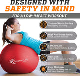 Smarterlife Exercise Ball, Yoga Ball for Gym, Balance, Stability, Pregnancy