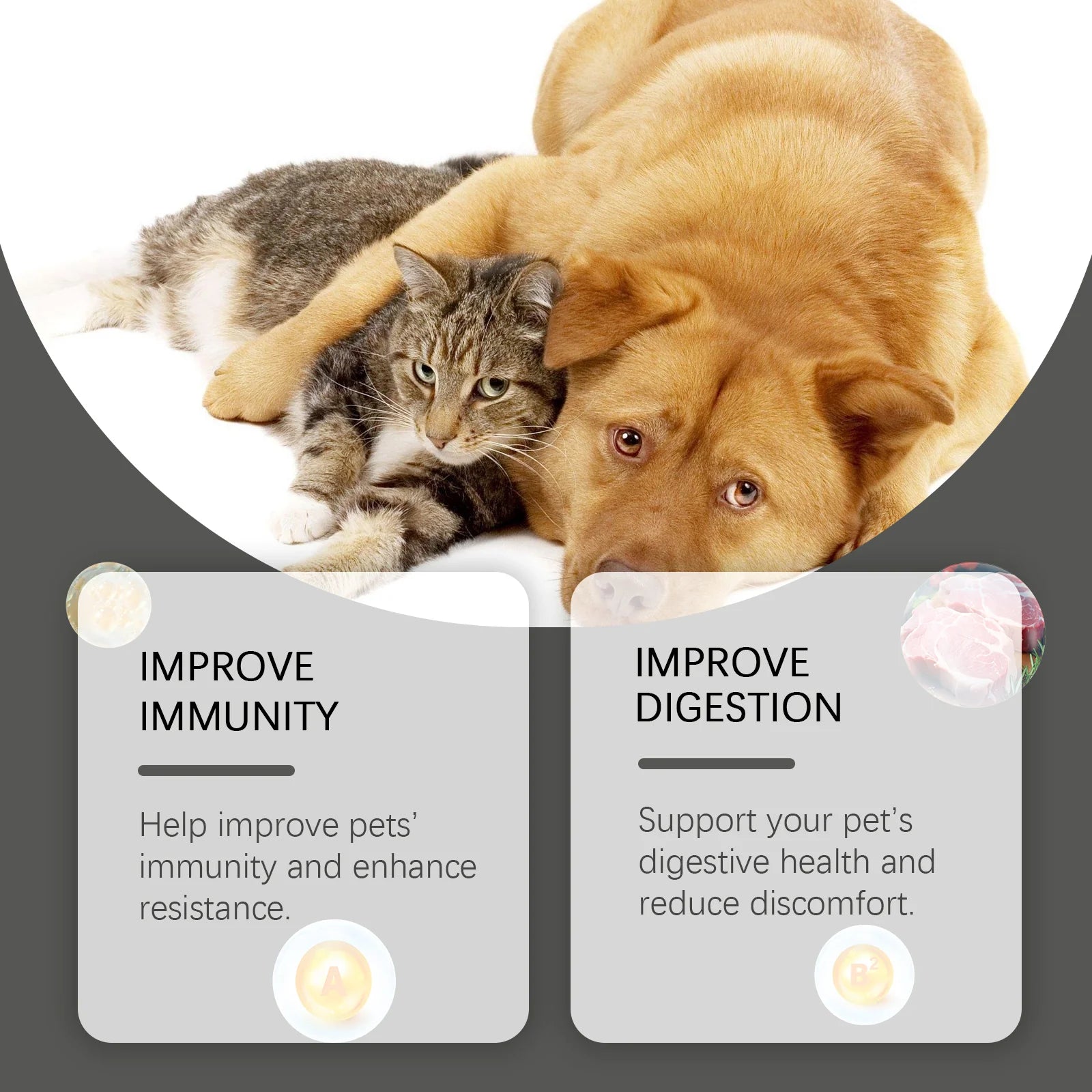 Pet Probiotic Chewable Tablets for Dogs & Cats Digestive Health Support, Immune Booster with Vitamin B2 & Yeast Selenium, 80 Tablets