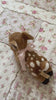 25CM Cute Deer Plush Toy – Soft Stuffed Fawn